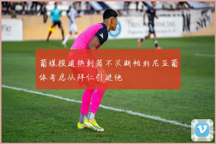 葡媒报道热刺若不买断帕利尼亚葡体考虑从拜仁引进他
