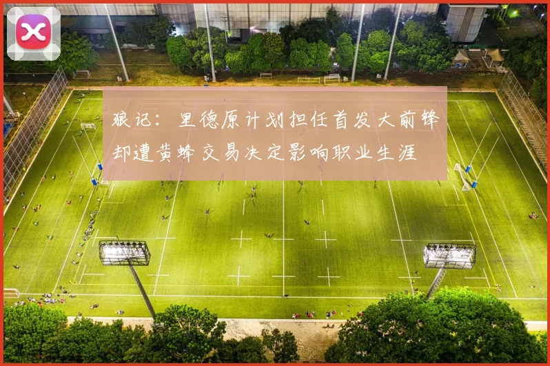 狼记：里德原计划担任首发大前锋却遭黄蜂交易决定影响职业生涯